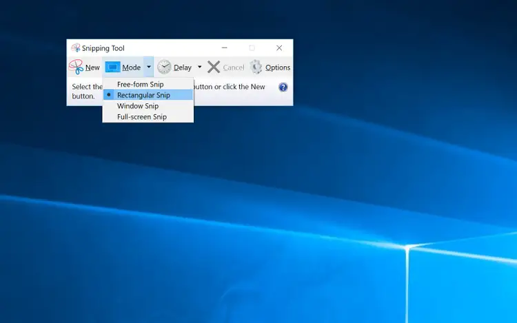 How to Take a Screenshot on a Dell Laptop and PC