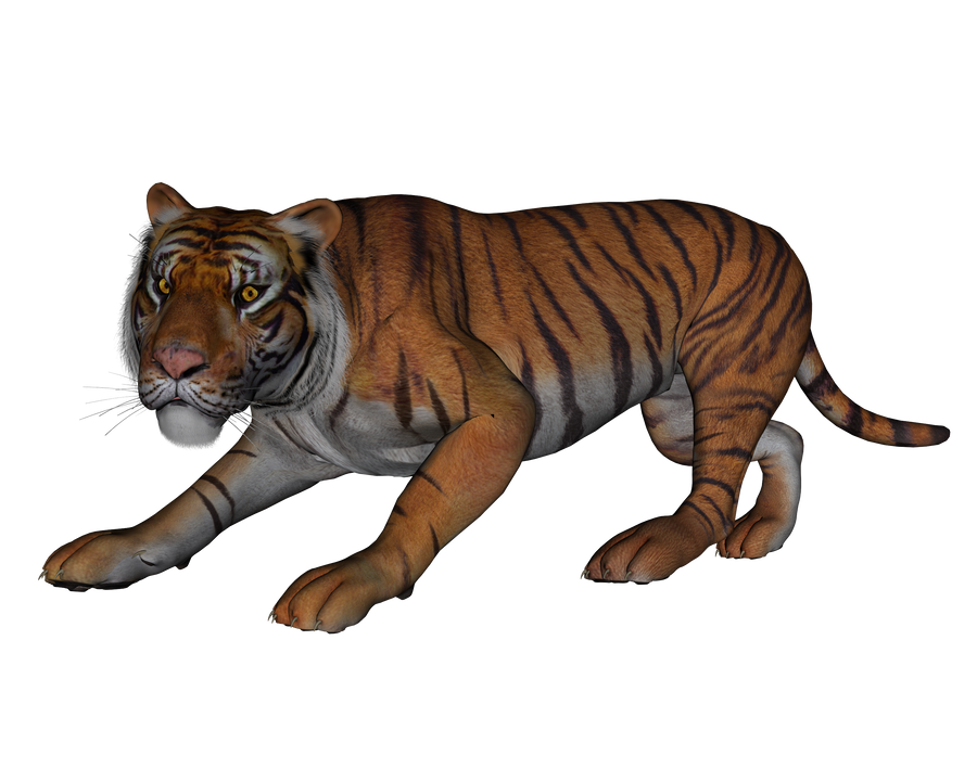 All Google 3d Animals List to View in your Space
