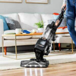 The Role of Regular Carpet Cleaning Services in Carpet Lifespan
