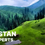 top SEO experts in Pakistan